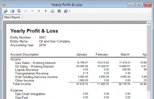 Profit and Loss Report/Investor Reporting-The SOGAS Advantage